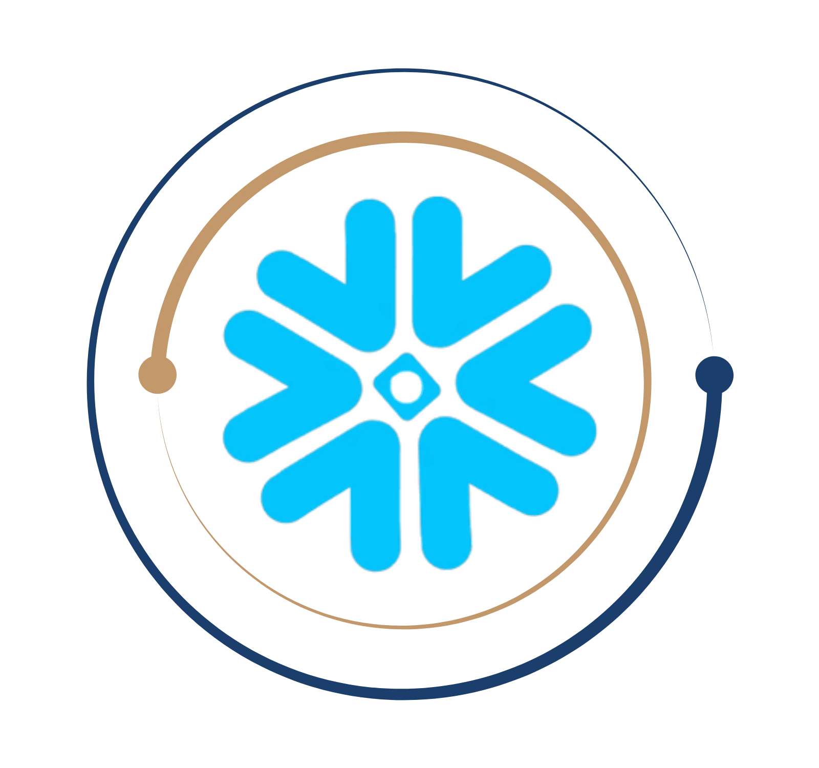 Snowflake Course in Chennai