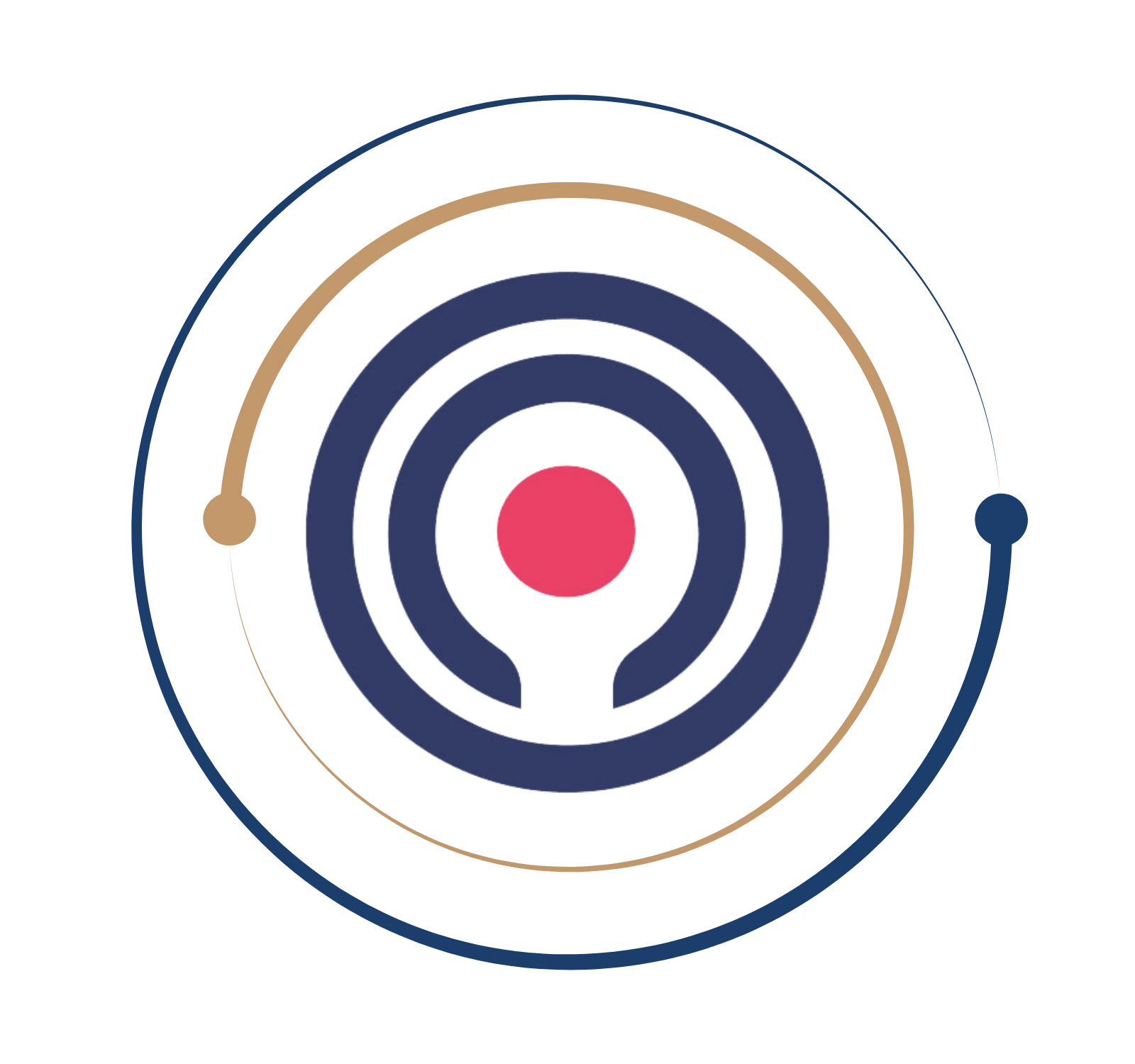 Spotfire Training Course Certification