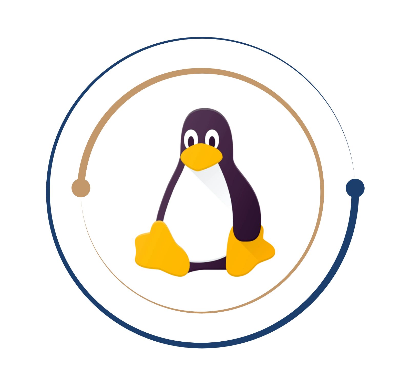 Linux Training