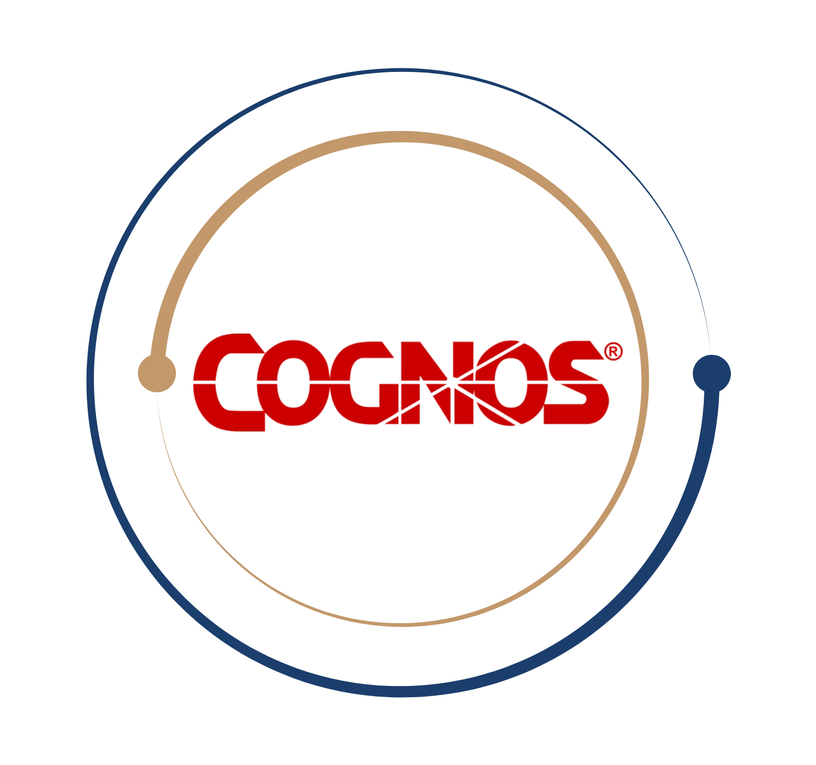 Cognos Developer Training