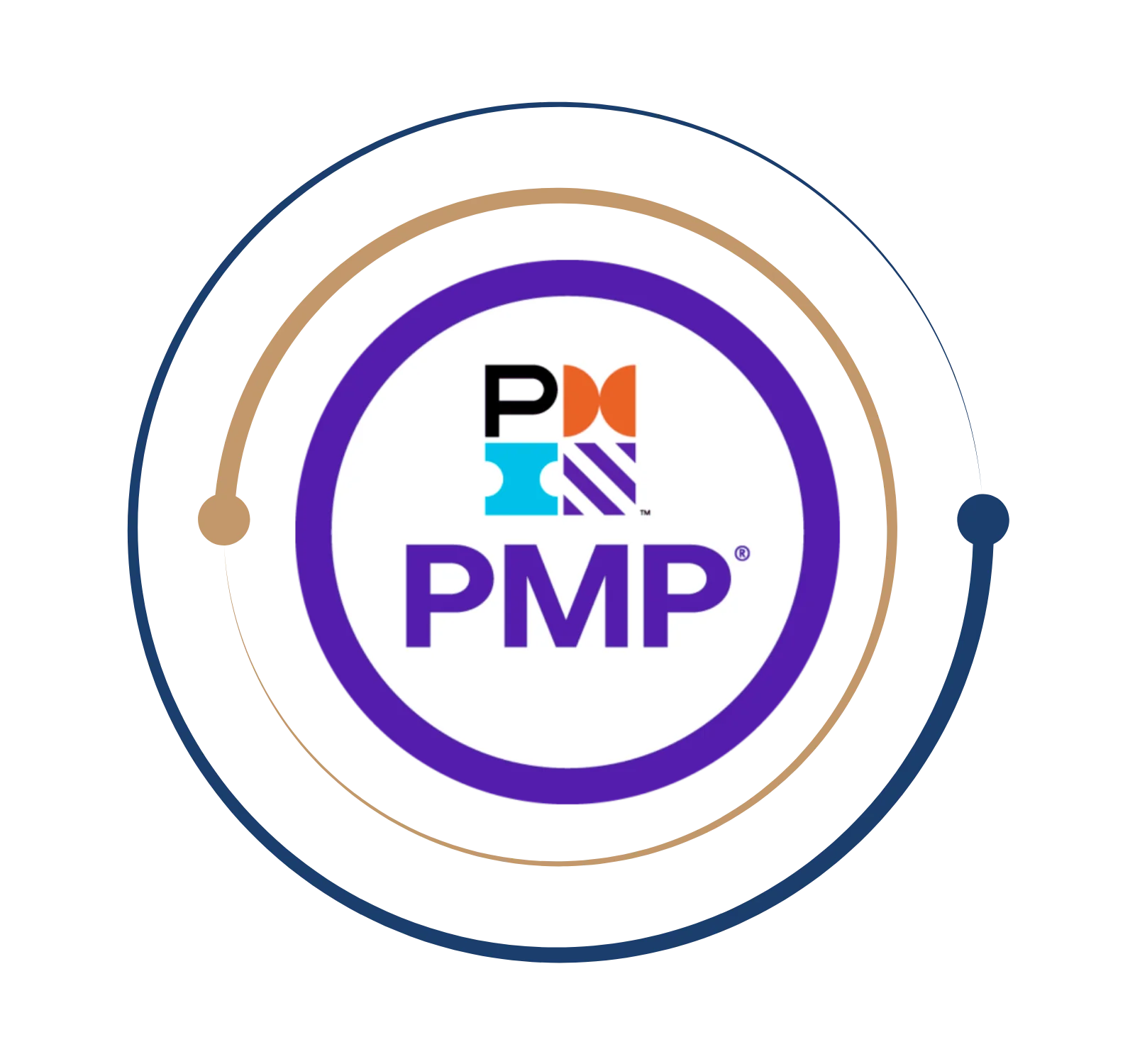 pmp certification training course Logo