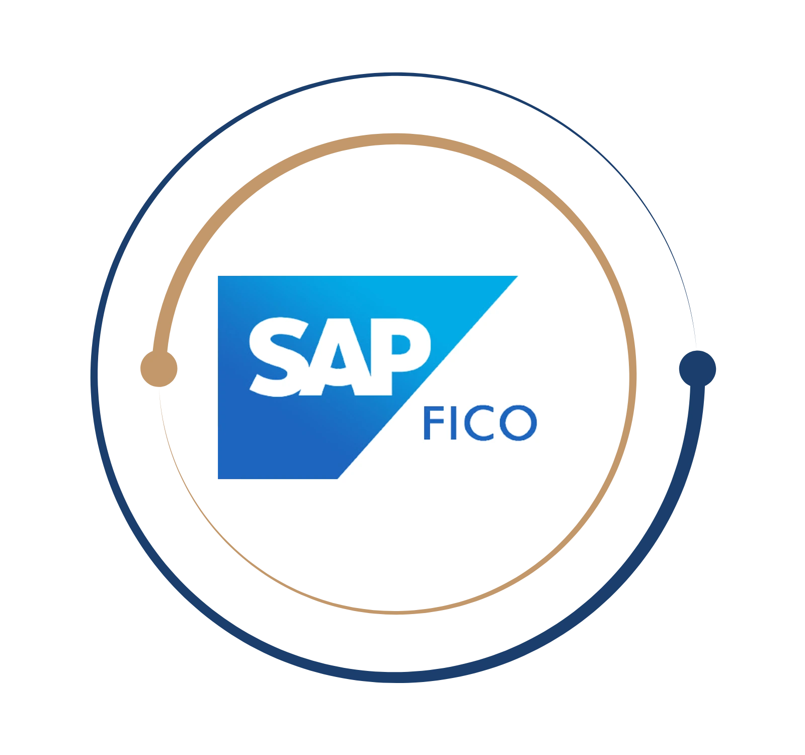 SAP FICO Training in Chennai