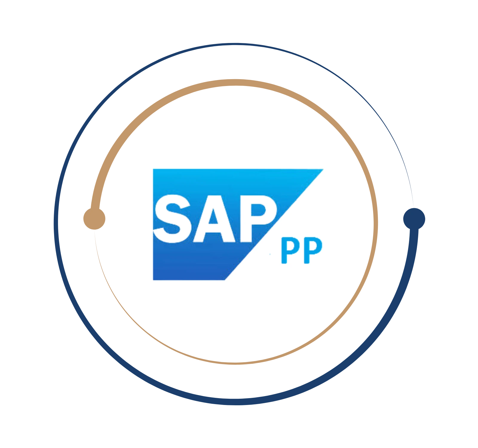 SAP Production Planning Courses Online