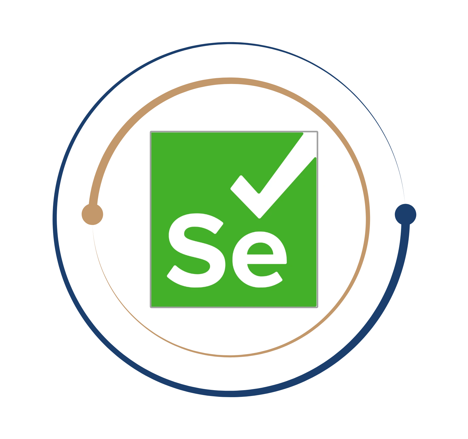 Selenium Training in Chennai logo