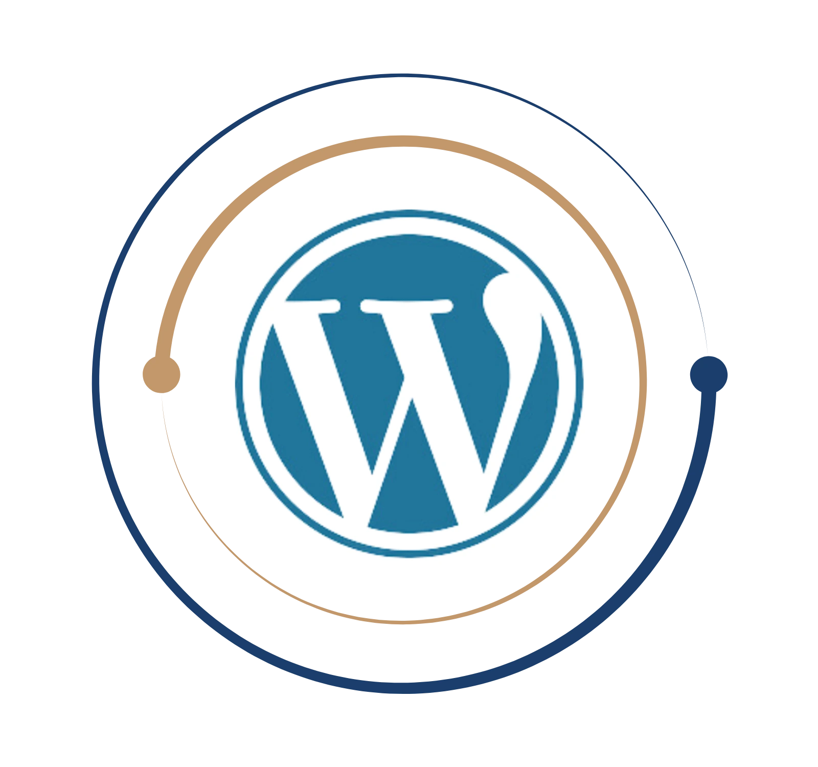 Wordpress Training in Chennai Logo